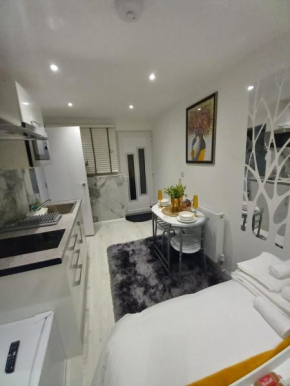 Cosy Luxury studio in Leicester. (Emerald Suite)